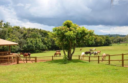 Franca House | Welcoming Estância EK: Pet-Friendly with Family Amenities