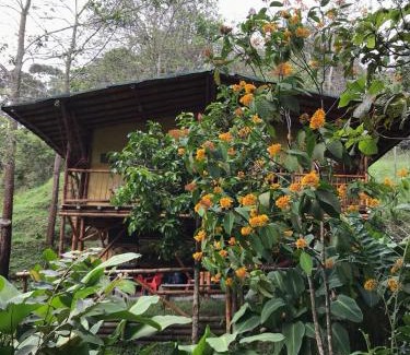 San Rafael Bed & Breakfast | Perfect Getaway at Estacion Paraíso de Dantas