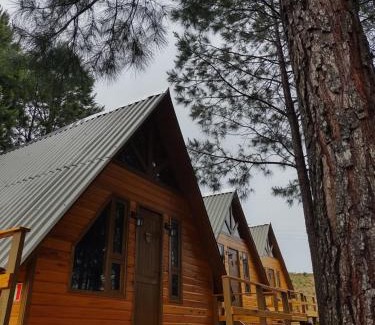Cambara do Sul Hotel | Guest Rated: 10/10 at Estalagem Refúgio do Capão
