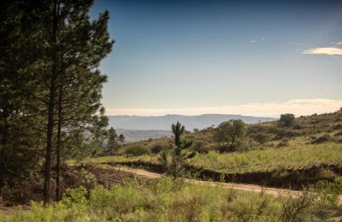 San Clemente Cabin | Experience Estancia Acuarela del Río: Oceanfront Bliss