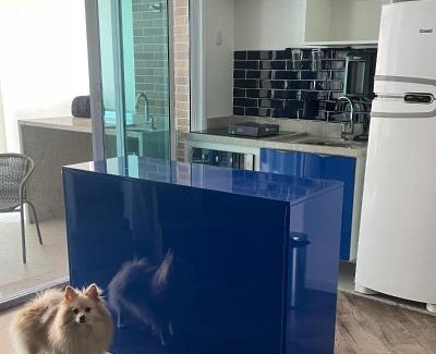 Gonzaga Apartment | Popular Estanconfor Santos 705 with Free Parking & Pool