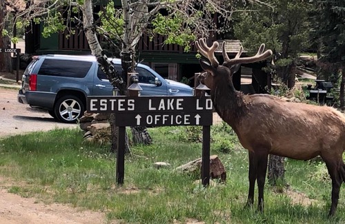 Estes Park Hotel | Kid-Friendly Escapes at Estes Lake Lodge - 7.9/10 Rated