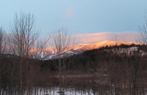 Wilmington House | Esther Mountain Chalet: Pet-Friendly Retreat with Hot Tub
