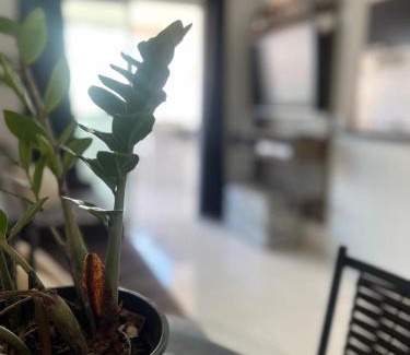 Mirim Apartment | Estilo e Conforto, seu Lar a 100m da Praia