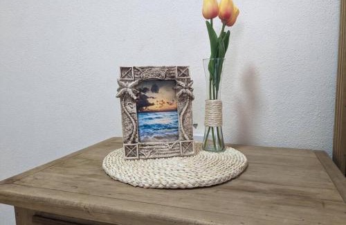 San Jose del Cabo Apartment | Pet-Friendly Estudio Balandra: 10/10 Guest Rated Stay