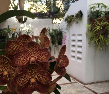 La Castellana Apartment | Comfortable Estudio Coquero in a Prime Residential Area