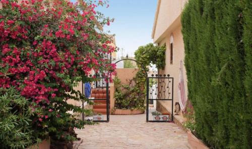 Puerto Marino Apartment | Beachfront Studio with Spa Access & 9.4/10 Guest Rating