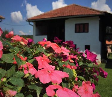 Nisava District House | Guest Rated: 10/10 at Etno Kuća - Rakić with Breakfast