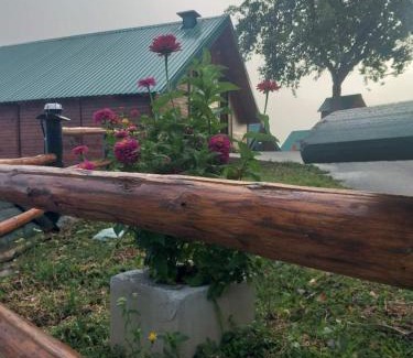 Mojkovac Ski Chalet | Discover Etno selo ŽURIĆ: Pet-Friendly Family Retreat