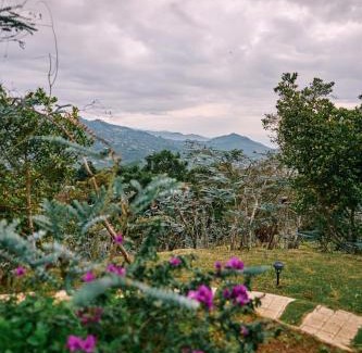 Yumbo House | Relaxing Eucaliptus Spa Resort with Hot Tub & Pet-Friendly Stays