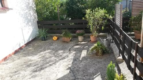 Ludwigshafen-Friesenheim Apartment | Discover Eulennest-lu: Pet & Child Friendly Haven