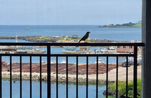 Hallim Condo | Inviting Eutteum Won Pension: Family-Friendly & Kitchen Access