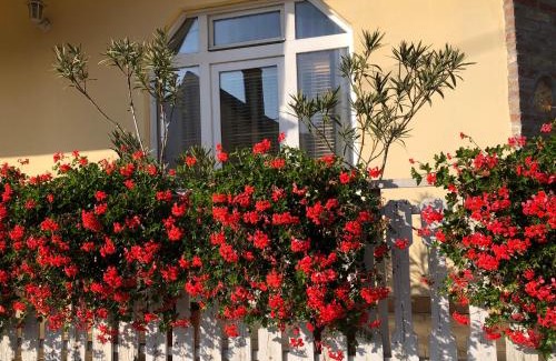 Budakeszi House | Comfortable Eva Rooms: Ideal for Families with Great Reviews