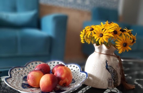Salkhino Apartment | Cozy Eva's Sweet Home: Family-Friendly Getaway Awaits