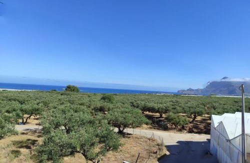 Limeniskos Villa | Pet-Friendly Evaggelias House with Top Guest Ratings