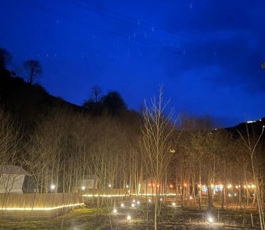 Ardesen Apartment | Explore Evaland Glamping Resort: Pet-Friendly Retreat Awaits