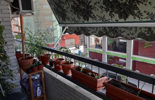 Benalua House | Discover EVE Rooms: Family & Pet Friendly in Estacion