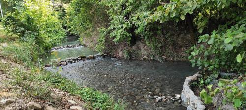 Gabala Apartment | Family-Friendly Retreat at Events Park Qebele