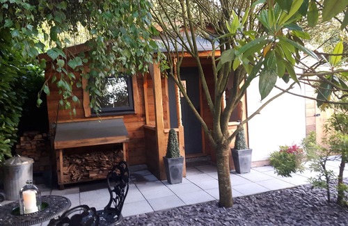 Hatherton Cabin | Disconnect and Recharge: Guest Rated 10/10 Off-Grid Retreat