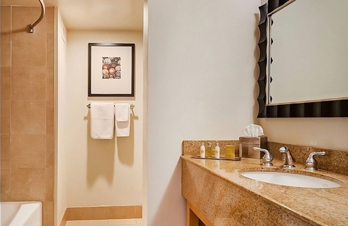 Berkeley Hotel | Your Perfect Getaway: Pet-Friendly with Indoor Pool