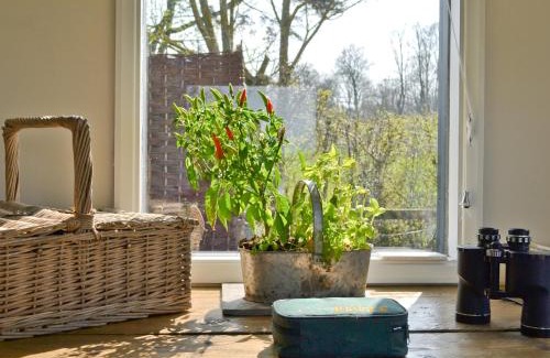 Bishop's Stortford House | Cozy Evie Rose Cottage: 4-Star Pet & Child Friendly Retreat