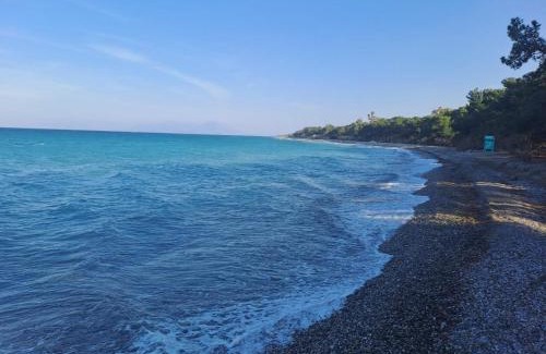 Xylokastron Hotel | Discover Evita Blue: 4-Star Retreat with Pool & Dining