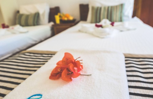 Daanbantayan Hotel | Explore Evolution Dive and Beach Resort: Family-Friendly Escape
