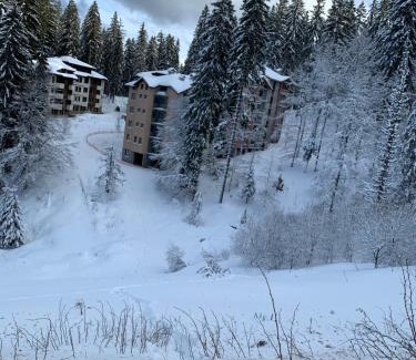Pamporovo Apartment | Pet-Friendly Stay at Pamporovo Evrika 1 Apartment 19