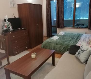 Pamporovo Apartment | Pet-Friendly Stay at Pamporovo Evrika 1 Apartment 21