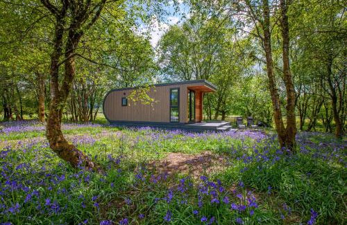 Benderloch Apartment | Guest Rated 9.7: Ewe Pod Glamping with Private Hot Tub