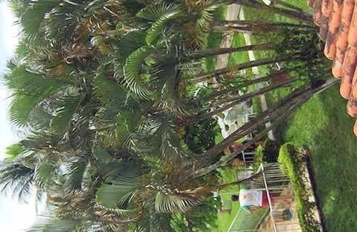 Jardim Excelsior House | Inviting Bungalow Steps from Beach & Shopping in Lagos