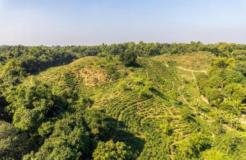 Sylhet Hotel | Discover Excelsior Sylhet Hotel & Resort with Pool and Dining