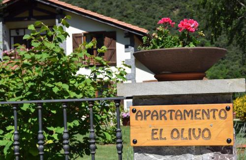 Ojedo Apartment | Discover El Olivo: Pet-Friendly Retreat with 9.3 Rating