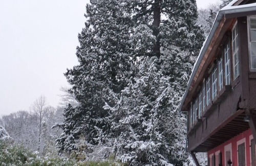 Munster Apartment | Forest Retreat: Perfect for Families and Pet Lovers