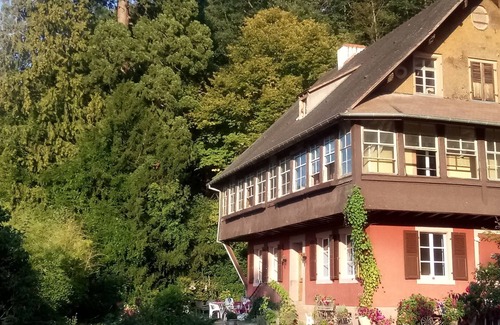 Munster Apartment | Forest Retreat: Perfect for Families and Pet Lovers