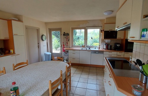 Budel-Dorplein House | Tranquil Retreat by a Private Lake with Amazing Amenities