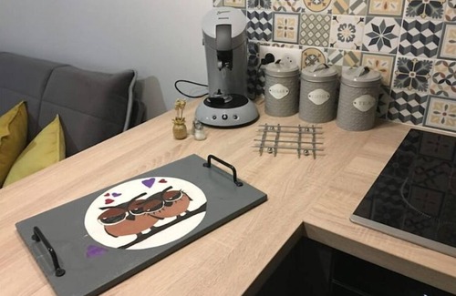 Old Town Apartment | Exceptionnel Hyper Centre Ville DE Dijon