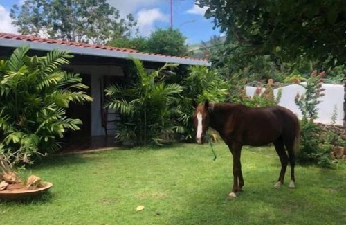 Margarita Island House | Exclusive 5-Bedroom Homes Near Parguito Beach Await You