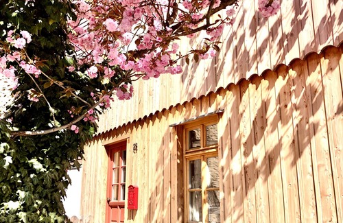 Wernigerode Apartment | Eco-Friendly Apartment with Breakfast and Child Care