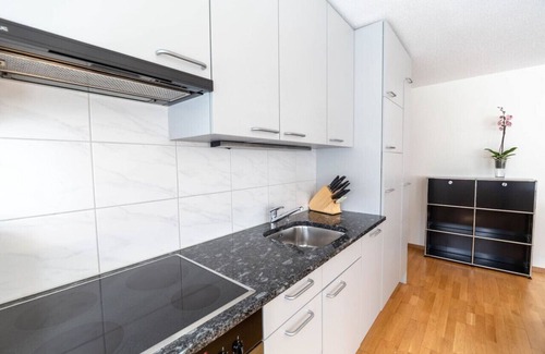 Seefeld Apartment | Executive 1BD flat/city center (Hösch 2)