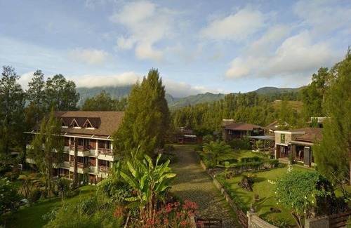 Ngadisari Apartment | Exclusive Executive Room at Jiwa Jawa Bromo with Breakfast
