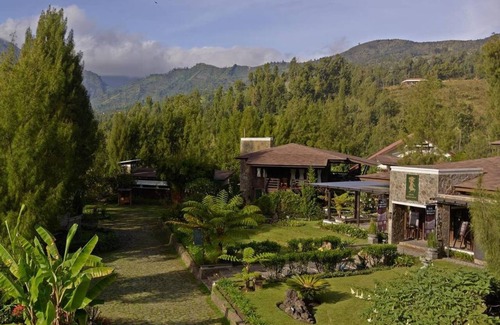 Ngadisari Apartment | Exclusive Executive Room at Jiwa Jawa Bromo with Breakfast