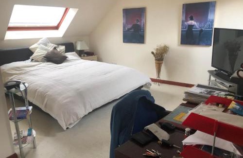 Forfar Apartment | Pet-Friendly Executive Serviced Apartments for Your Stay