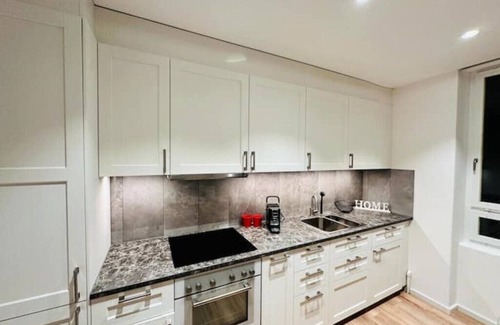 Uster District Apartment | Family & Business Retreat with Breakfast and Kitchen Access