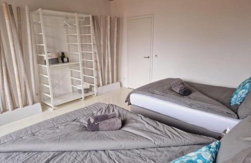 Seligenstadt Apartment | Exclusive Design Penthouse MC1: Pet-Friendly Retreat