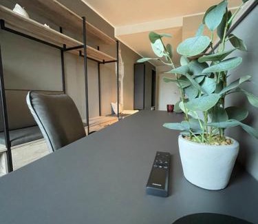 Delitzsch Apartment | Exklusives Wohnen im historischen Wasserturm dem Highlight von Delitzsch WE104