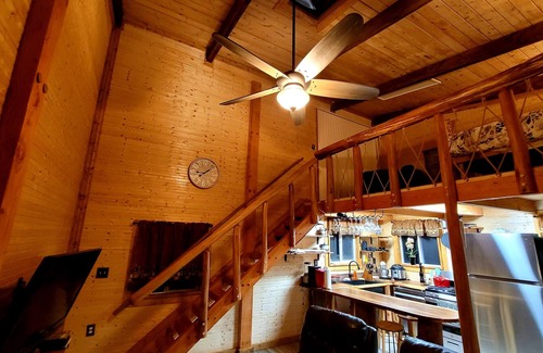 Mountain View House | Eco-Friendly Aloha Lodge: Private Log Cabin Near Volcano Park