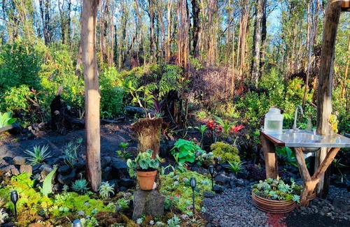 Mountain View House | Enchanting Garden Cottage at Vibrant Volcano Fissure