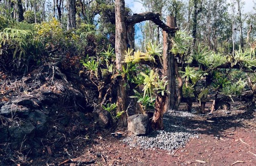 Mountain View House | Enchanting Garden Cottage at Vibrant Volcano Fissure
