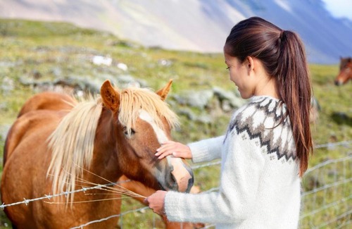 Olafsvik Villa | Discover Beautiful Iceland: Top Amenities & 9/10 Guest Rating